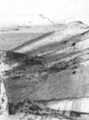 Drawings on acid free Arches paper in charcoal, ink, pencil by Jane Boyd