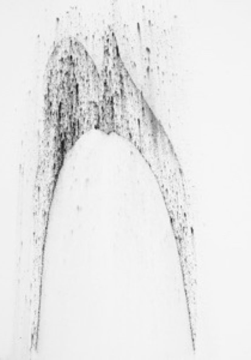 Jane Boyd,drawings,artist,Absence and Presence,study,ii,2011,charcoal,Arches paper