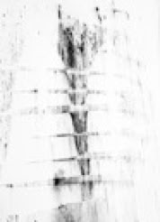 Drawings on acid free Arches paper in charcoal, ink, pencil by Jane Boyd