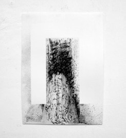 Jane Boyd,series,nine drawings,Absence and Presence, 2012,charcoal dust,compressed charcoal,acid free,Arches paper 