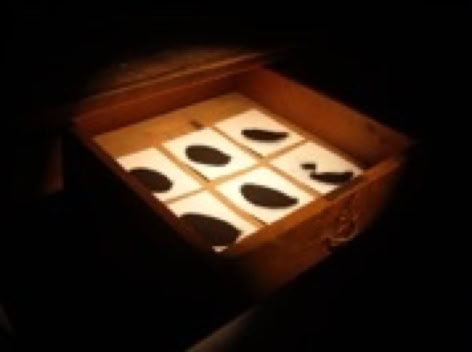 Movements in the Dark i 2012 by Jane Boyd