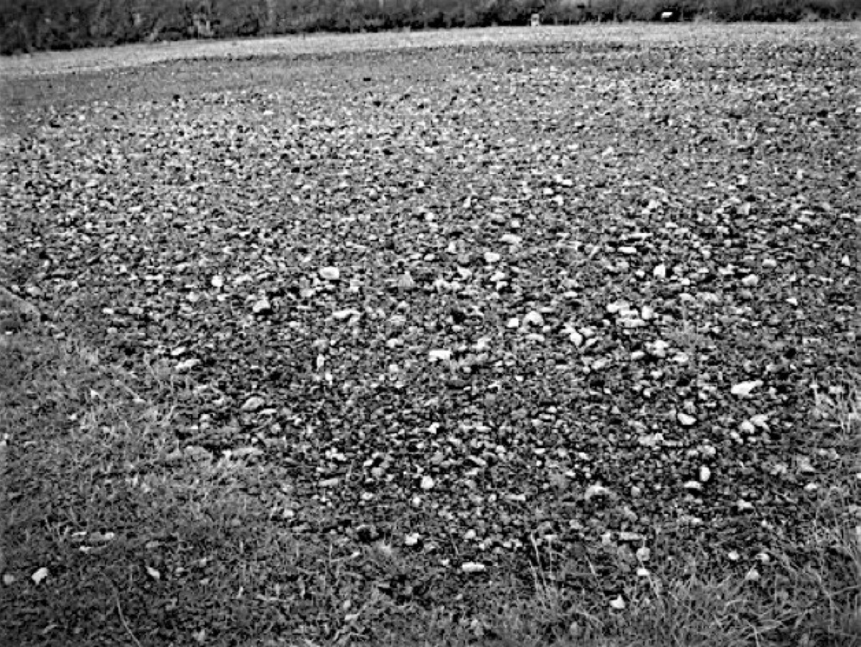 Jane Boyd,installation,artist,BAHAR